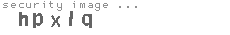 security image
