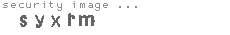 security image