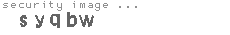 security image