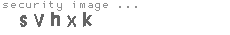security image