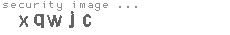 security image