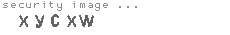 security image
