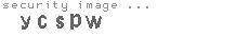 security image
