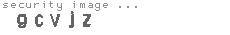 security image