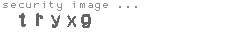 security image