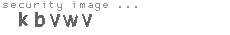 security image