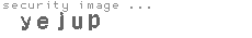 security image