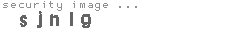 security image