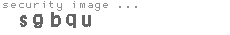 security image