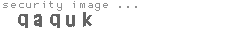 security image