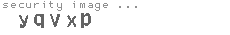 security image