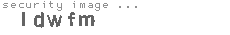 security image