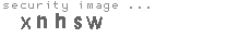 security image
