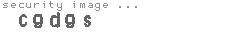 security image