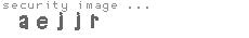 security image