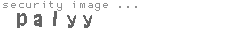 security image