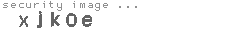 security image