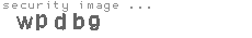 security image