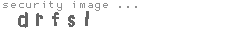 security image