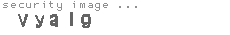 security image