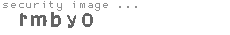security image