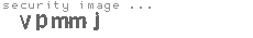 security image