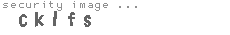 security image