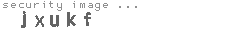 security image