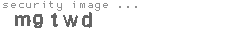 security image