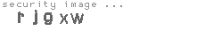 security image