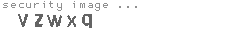 security image
