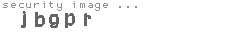 security image
