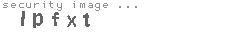 security image