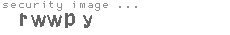 security image