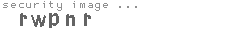 security image
