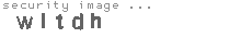 security image