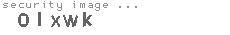 security image