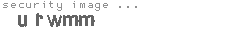 security image