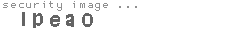 security image