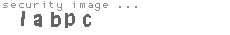 security image