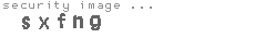 security image