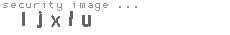 security image