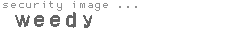 security image