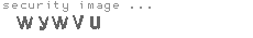 security image