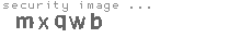 security image