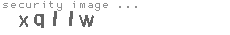 security image