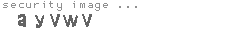 security image
