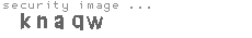 security image