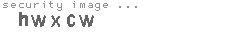 security image