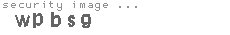 security image